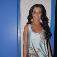 Amy Jackson at 1947 Love Story audio launch | Picture 65288